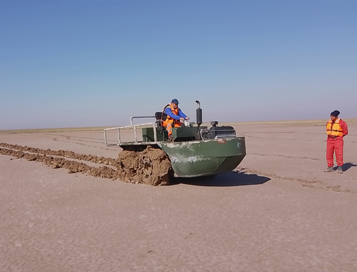 Sesiwave seismic Geology Project